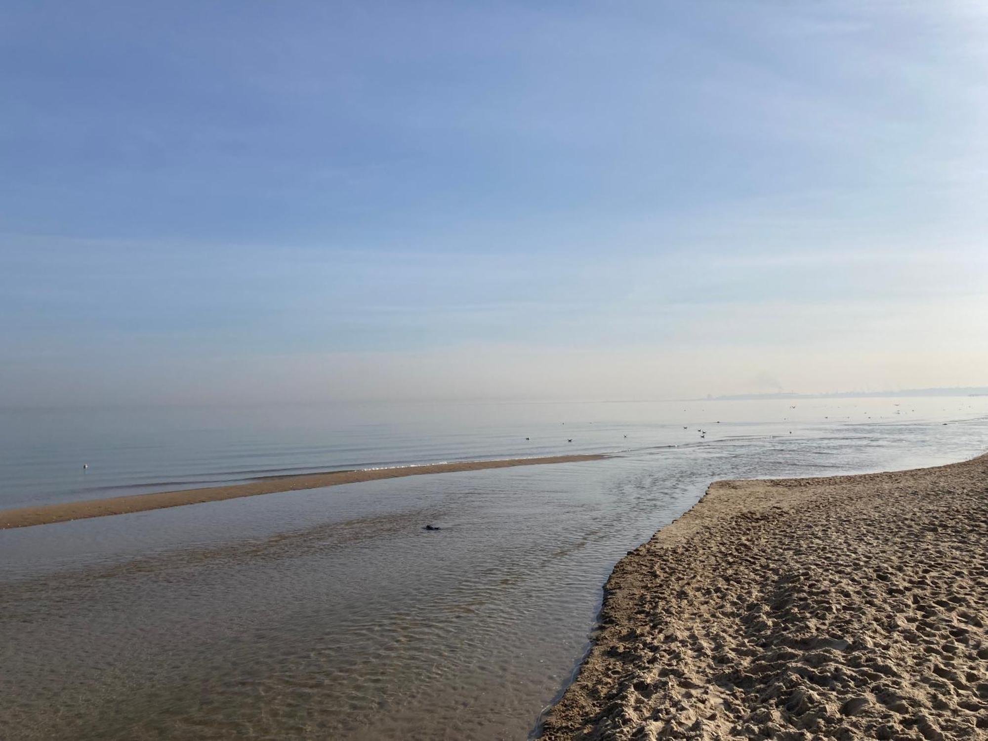 Argo Gdańsk