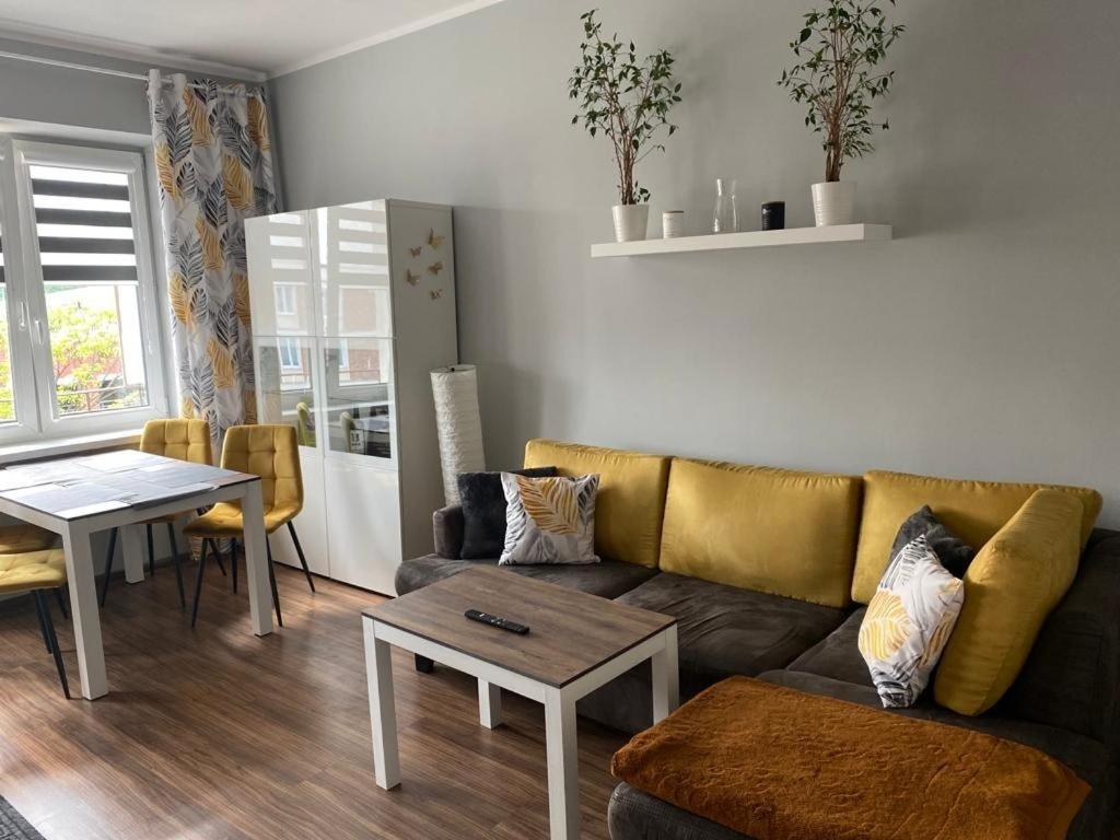 Apartment Starowka