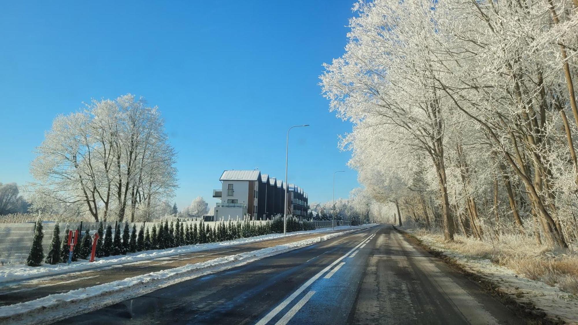 Papaja Caloroczny Na Wyspie Sobieszewskiej * Gdansk