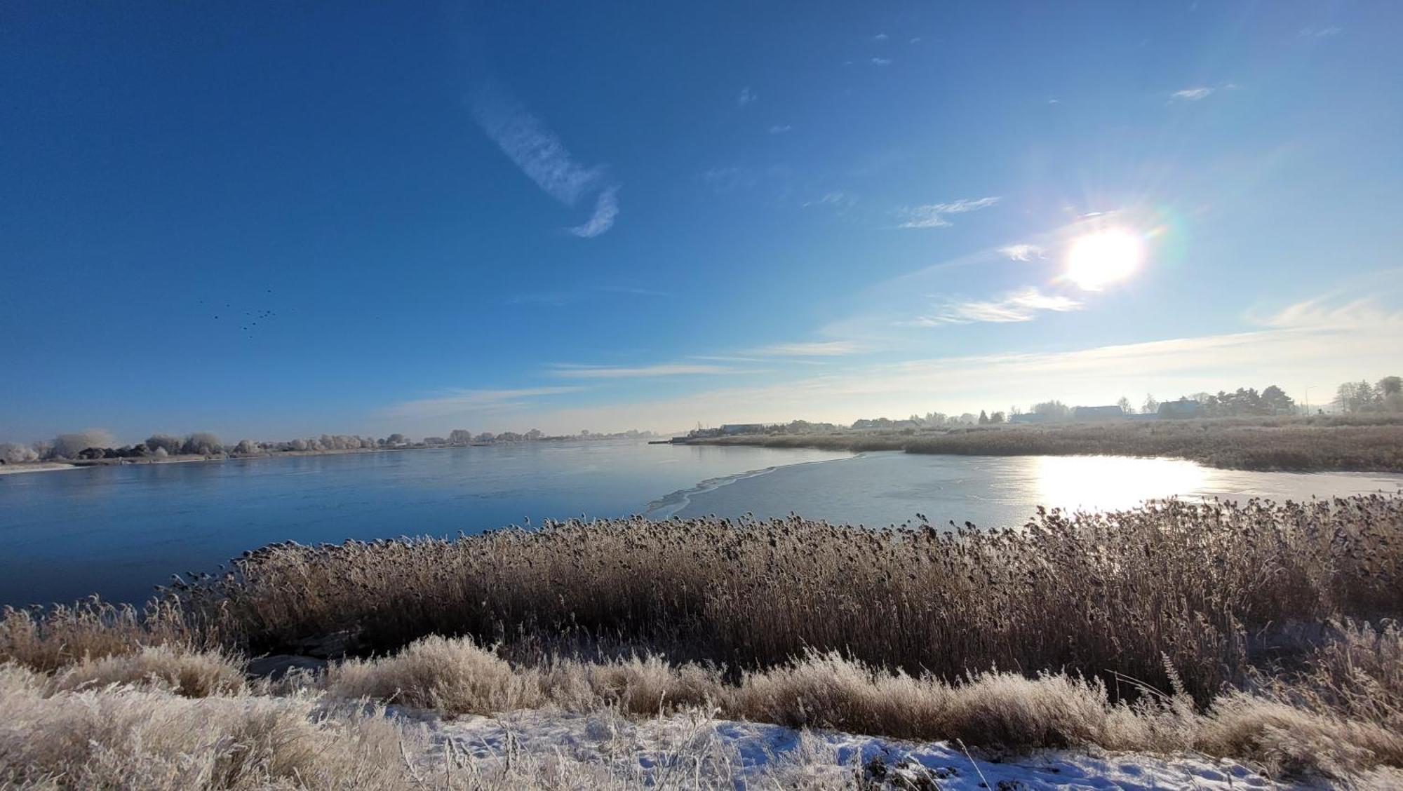 Papaja Caloroczny Na Wyspie Sobieszewskiej