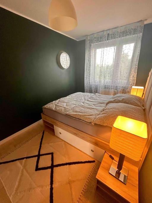 Przestronny Apartment