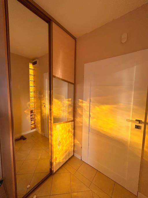 Apartment Przestronny *