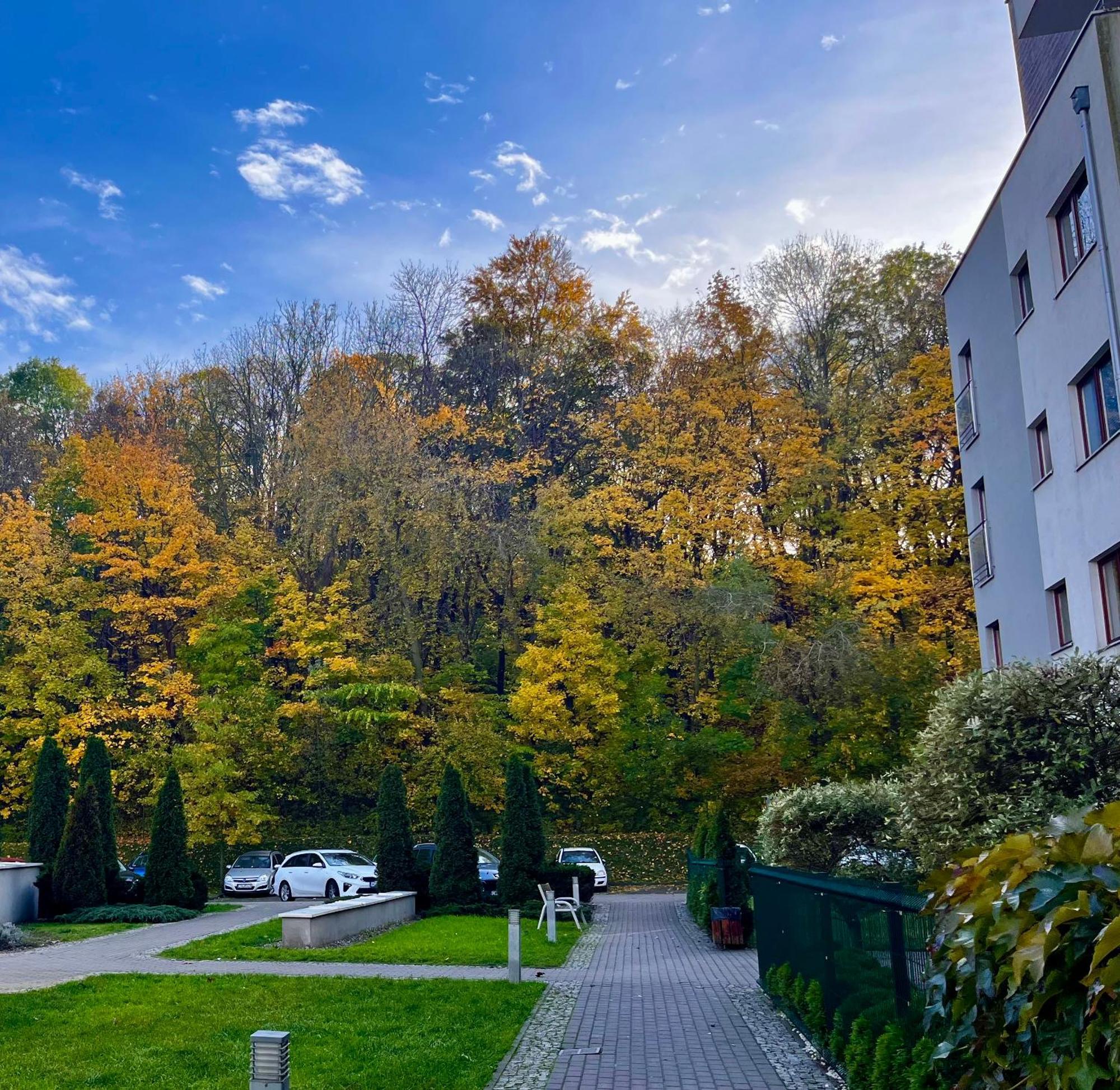 Forest In The City * Gdansk