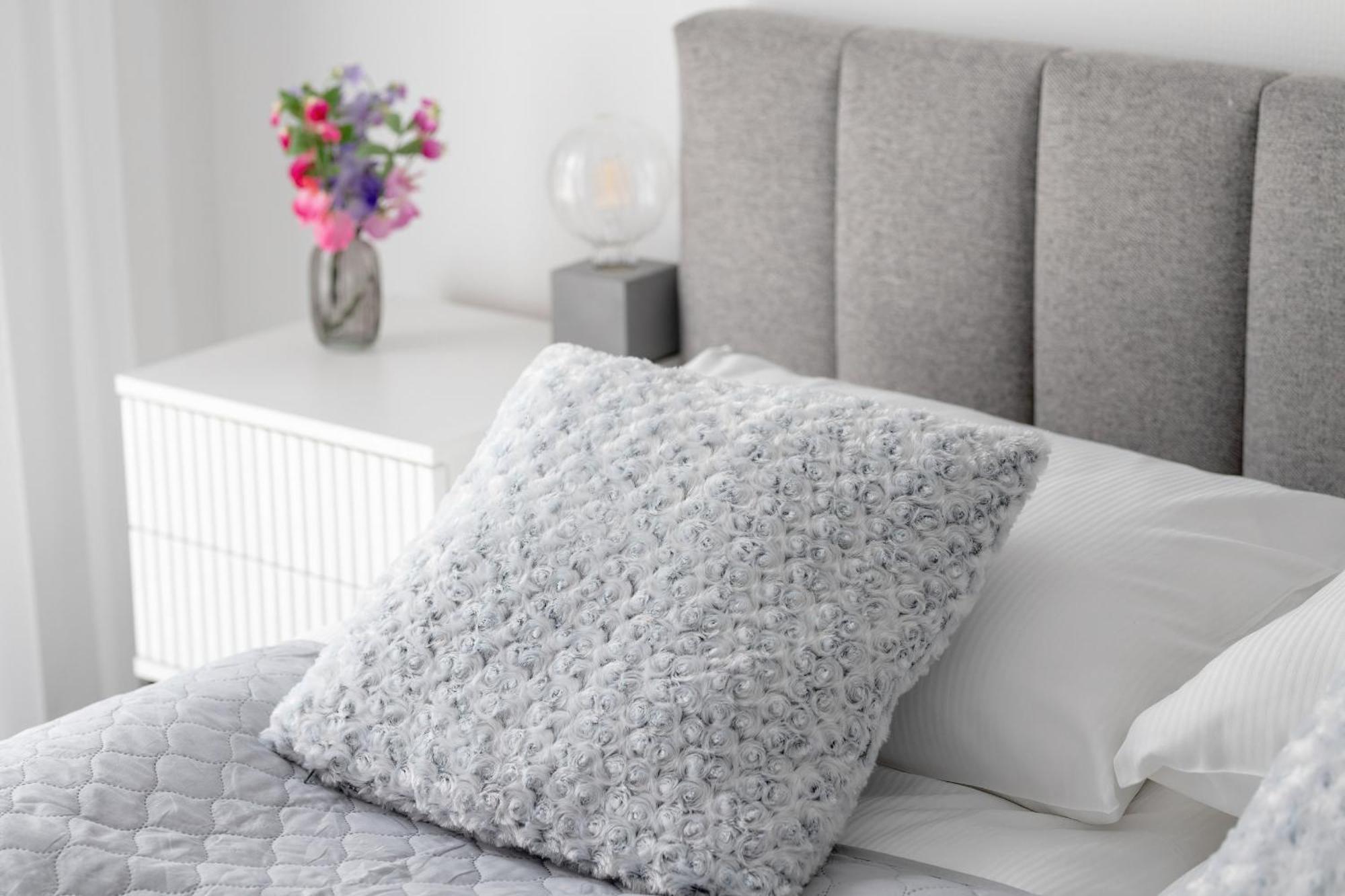 Modern Close To The In By Renters *