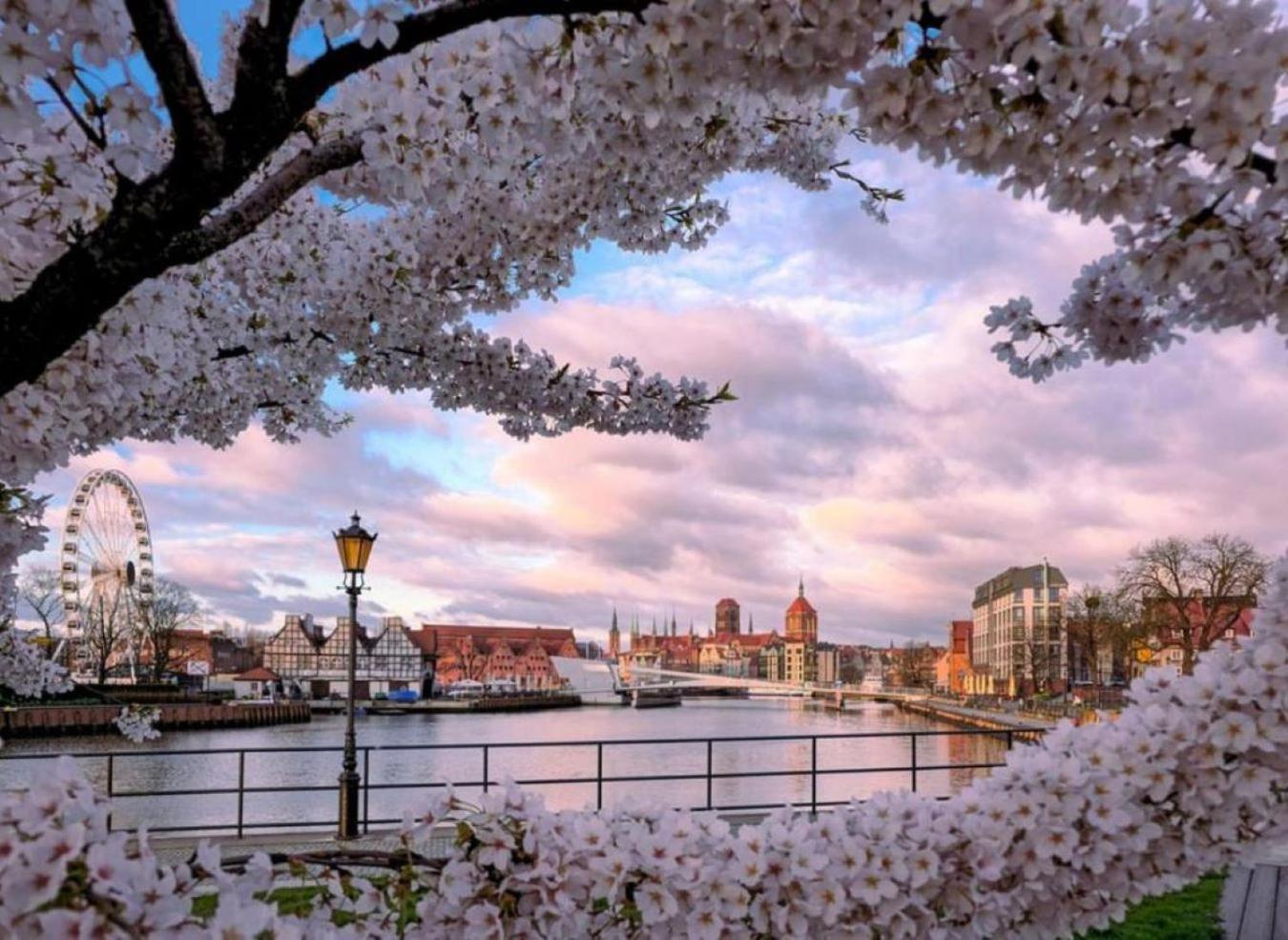 Baltic Old Town Aparthotel Gdansk