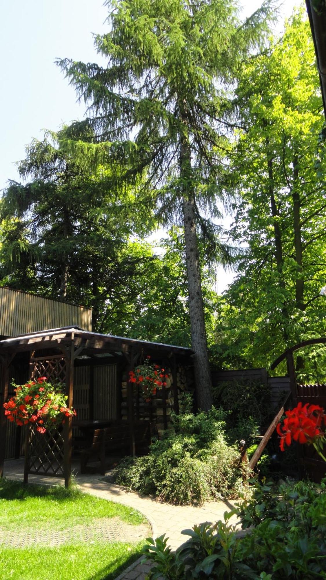 Bed & Breakfast Zosienka