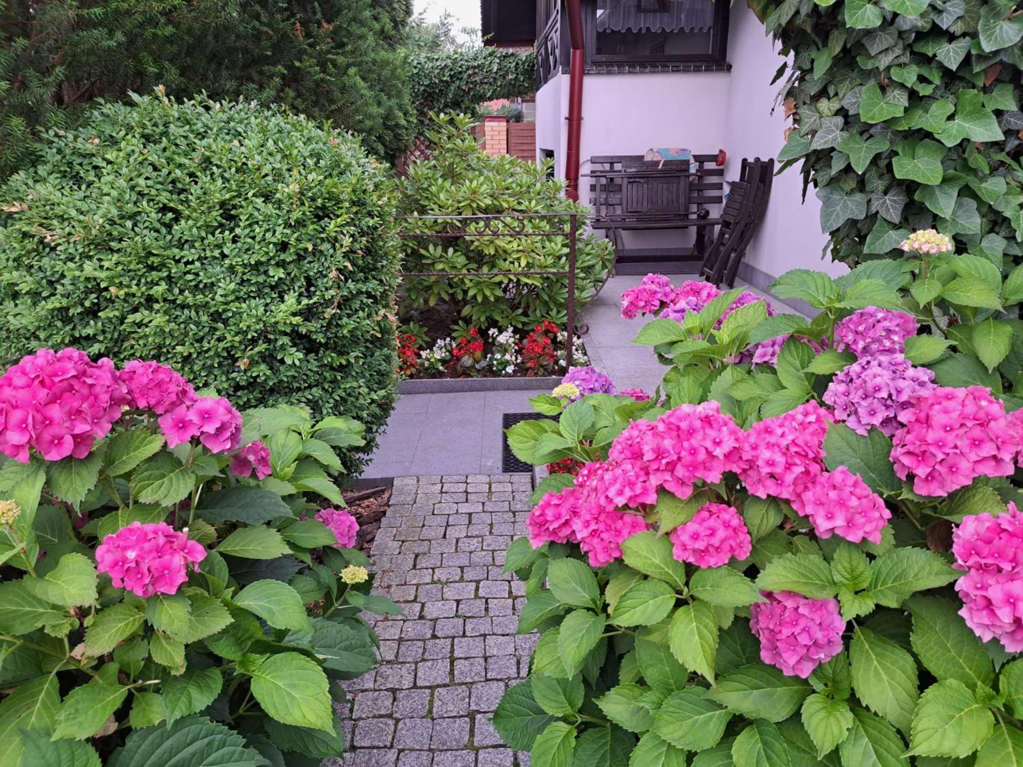 Huoneisto Apartament Lady Anna D