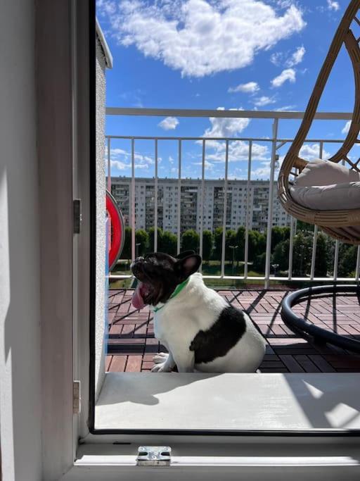 Apartament Z Widokiem Na Morze, 3 Min Ergo Arena Apartment *