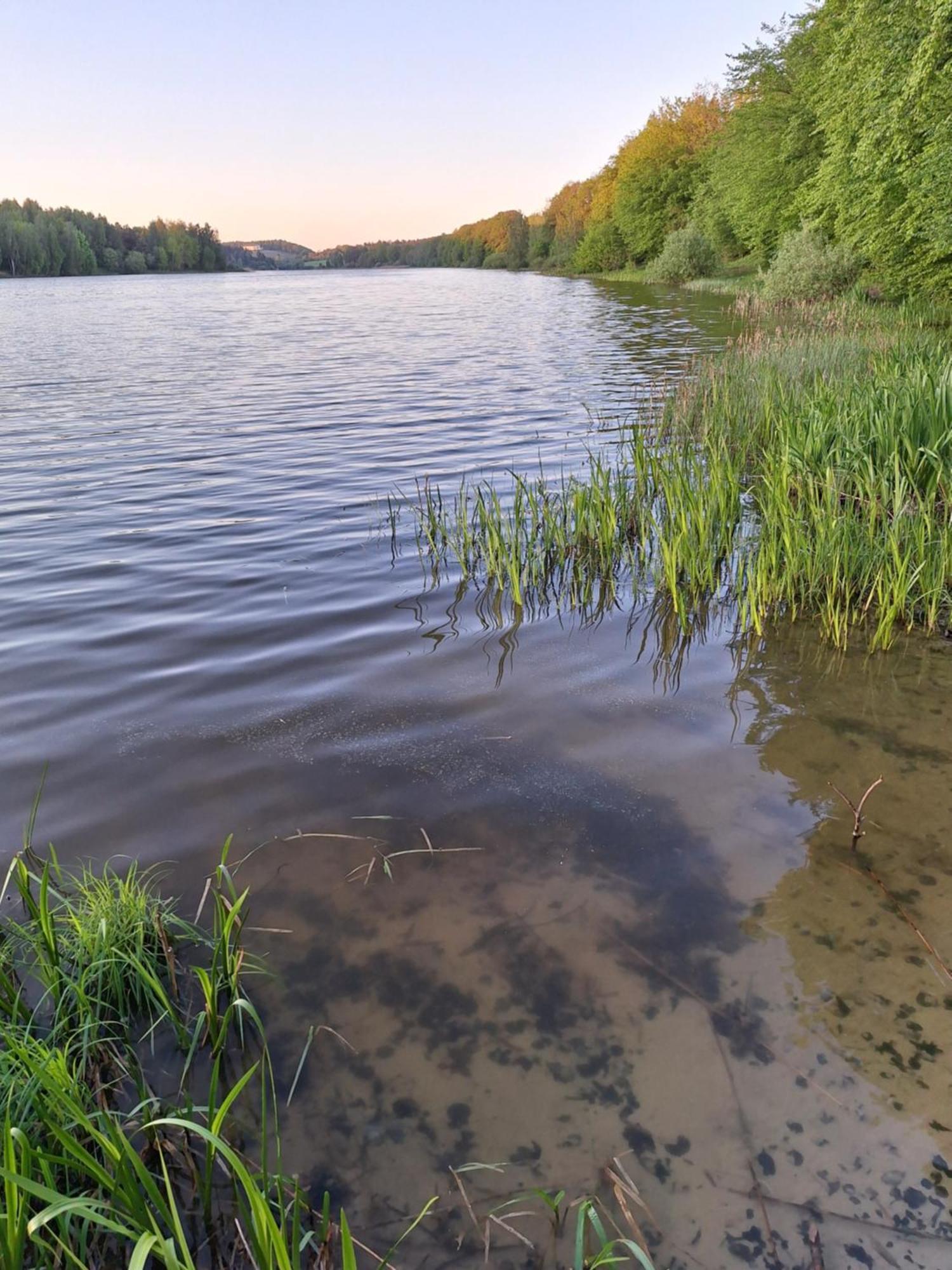 Lake&city - Komfortowe Blisko Majaland, Jeziora, Lasu Oraz Serca Trojmiasta Gdańsk