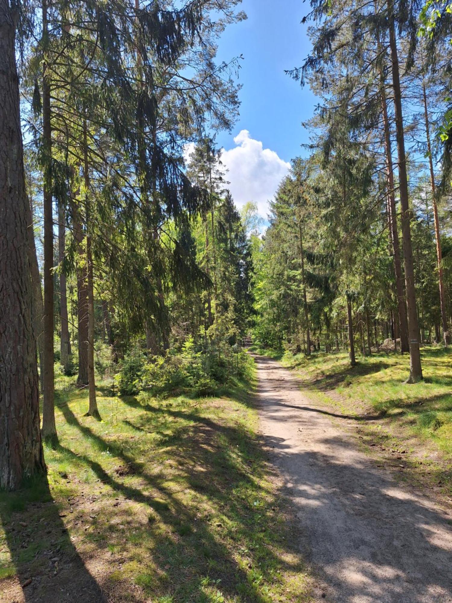Lejlighed Lake&city - Komfortowe Blisko Majaland, Jeziora, Lasu Oraz Serca Trojmiasta