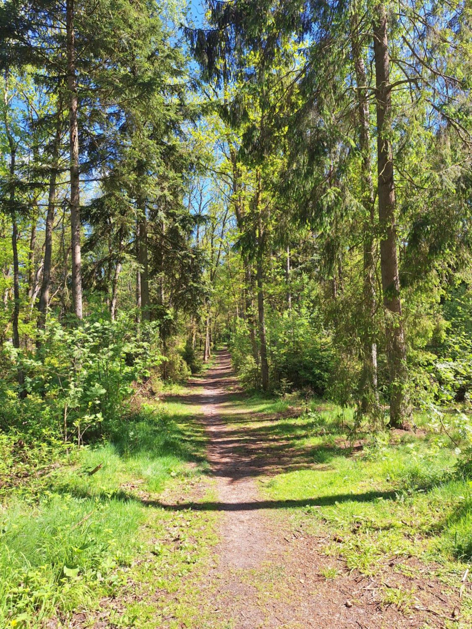 Lake&city - Komfortowe Blisko Majaland, Jeziora, Lasu Oraz Serca Trojmiasta * Gdańsk
