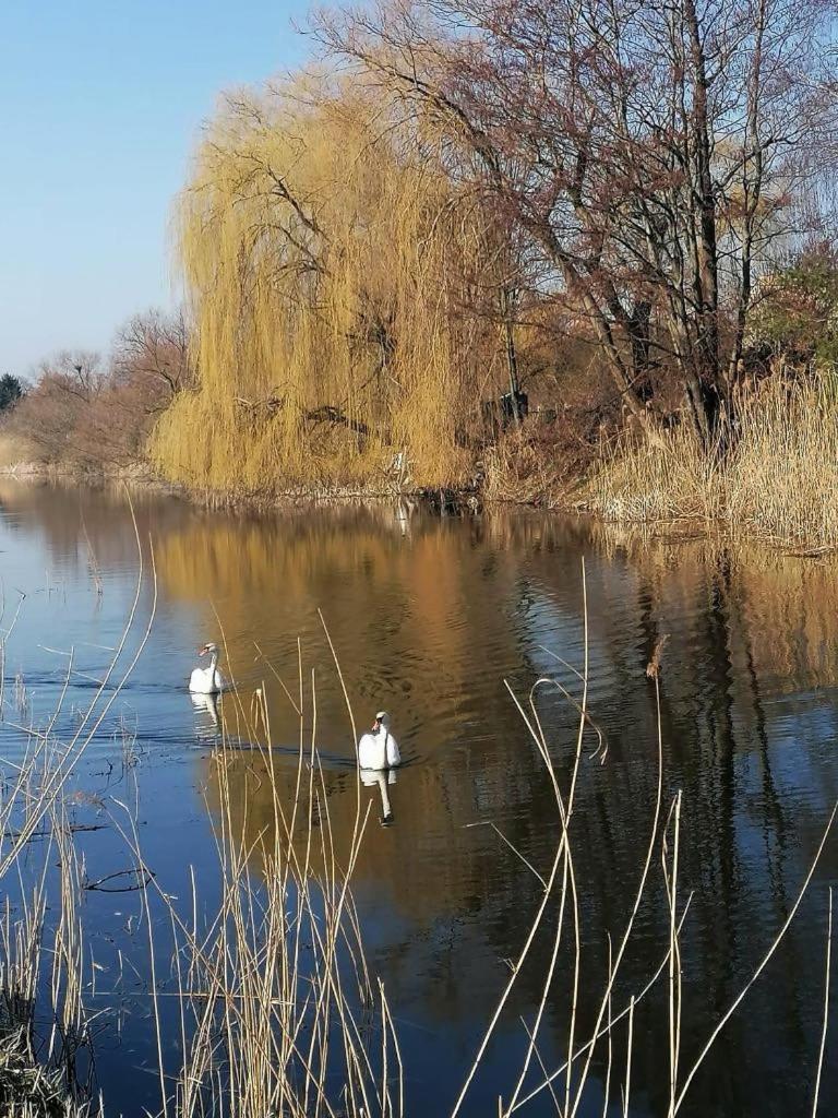 *dana Goscinne * Gdansk
