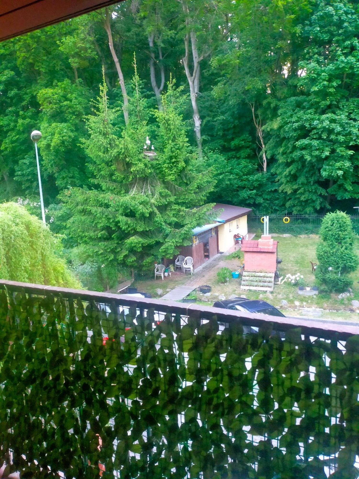Madeira *