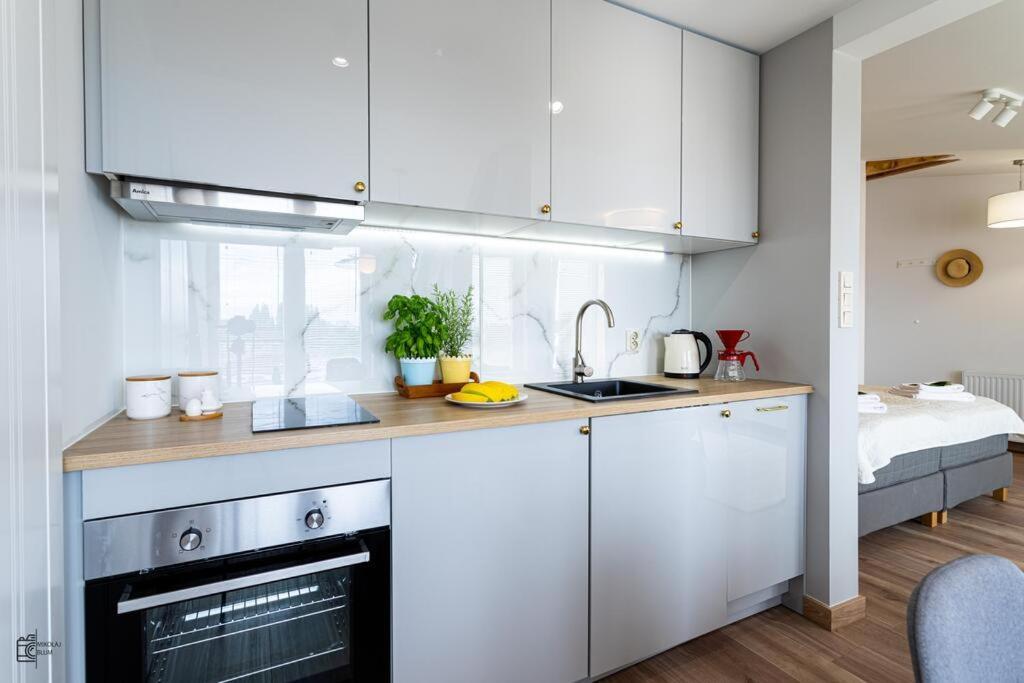 Dziewanowskiego By Downtown Apartament