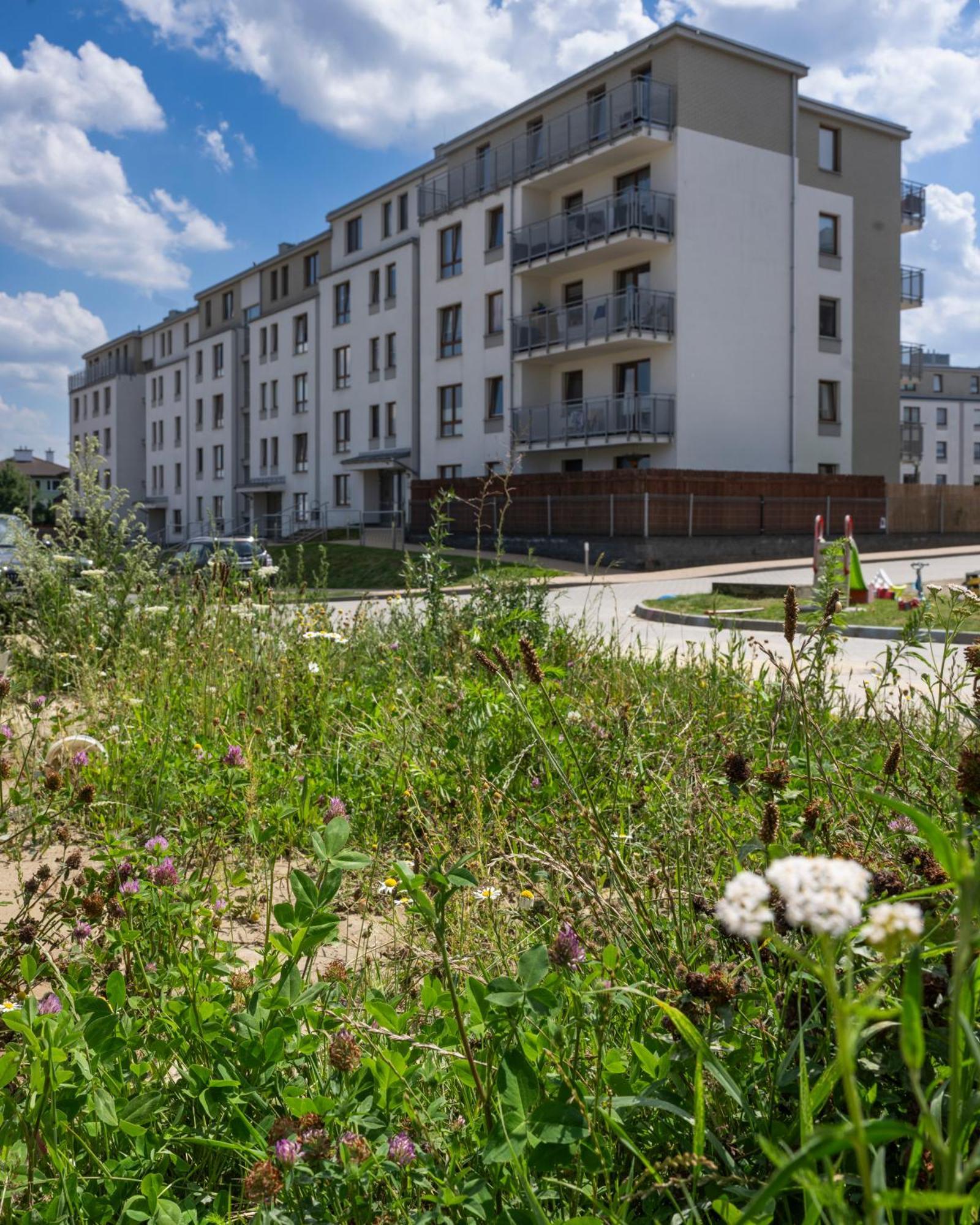 Apartament Wanessa Apartamento