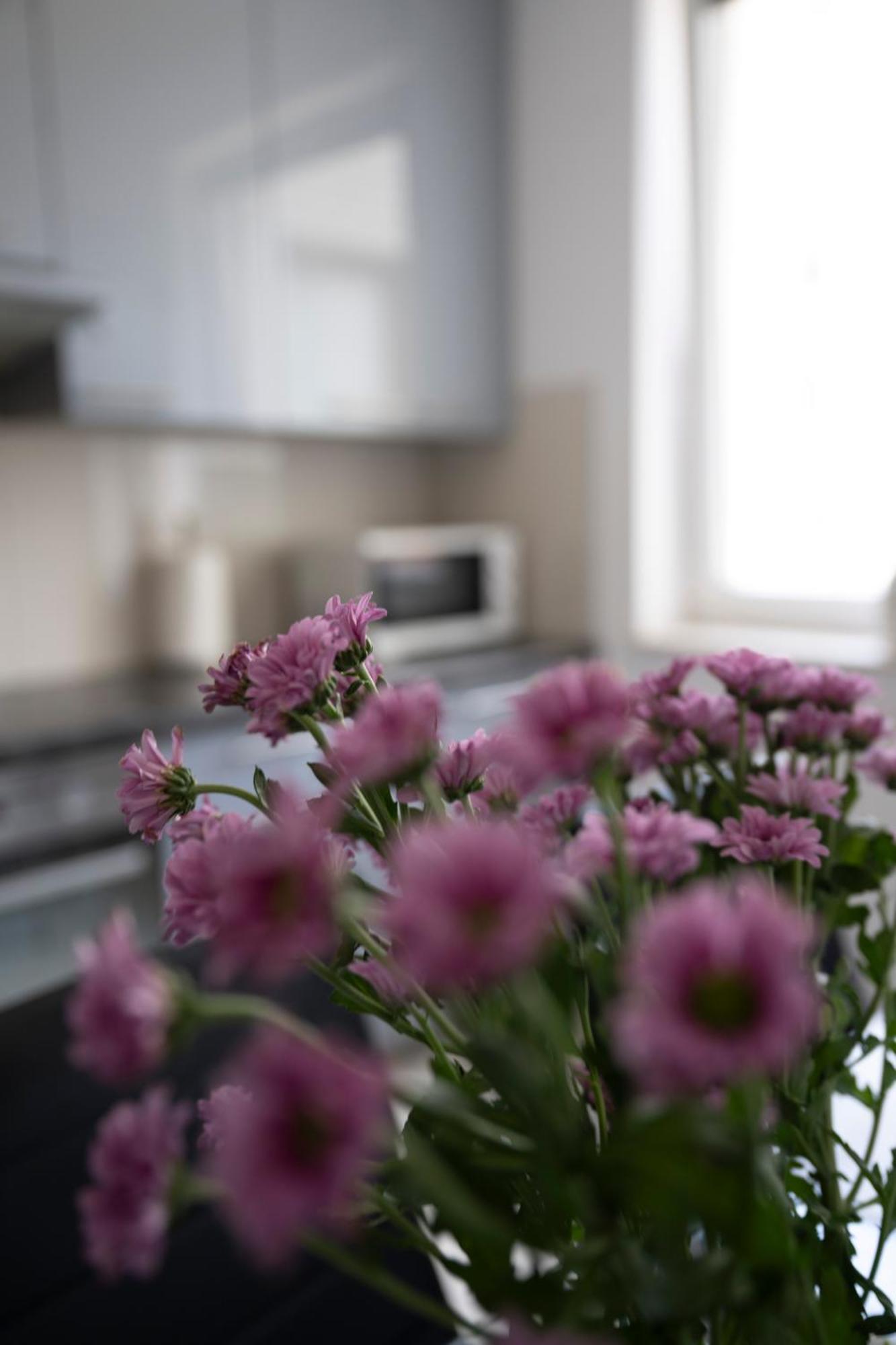 Apartament Wanessa Apartamento