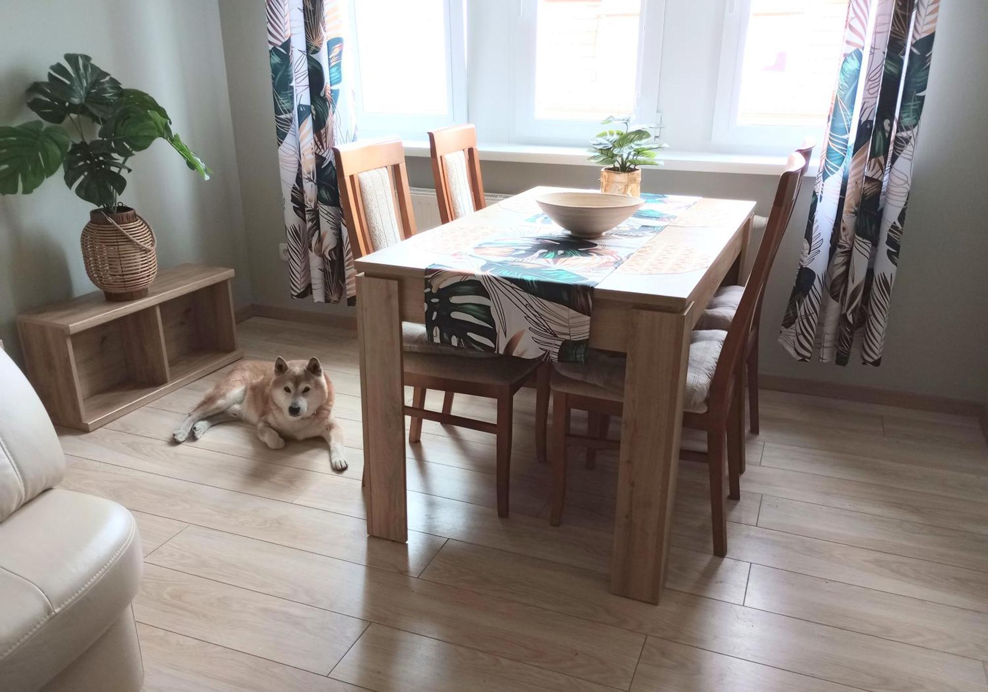 Apartamento Shiba *