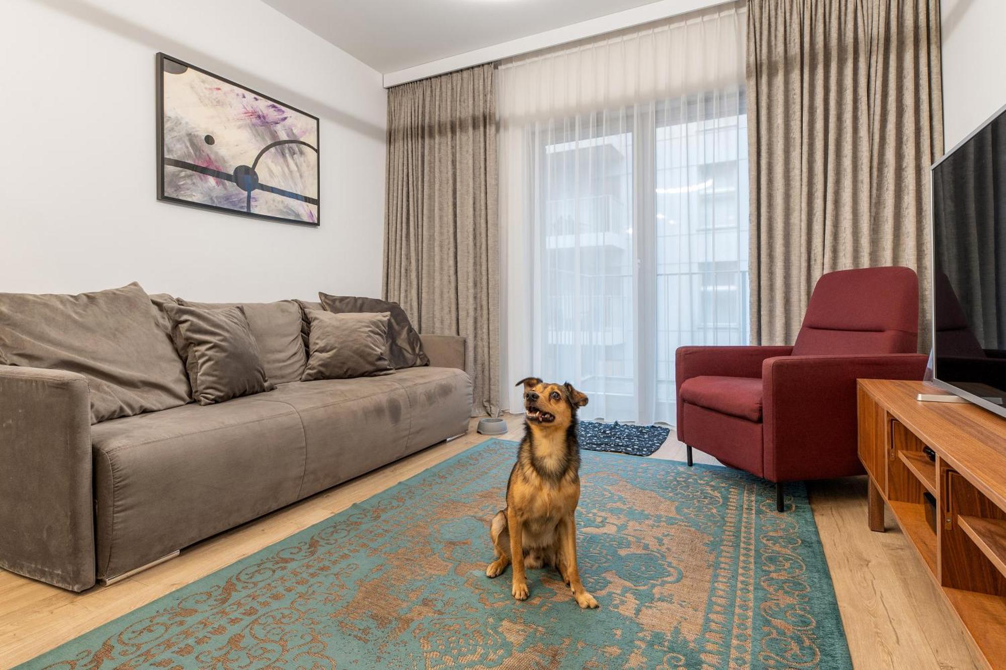 Grano Old Town & Wellness Apartment