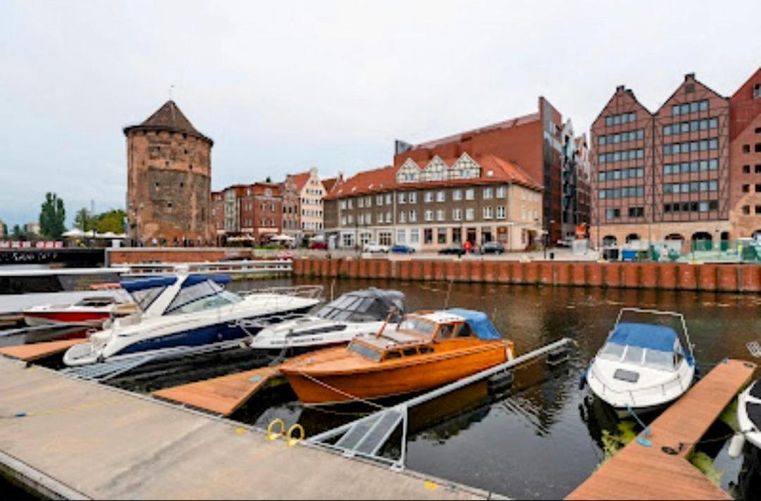 Niebianskie Gniazdko Kolo Starego Miasta Apartment Gdansk
