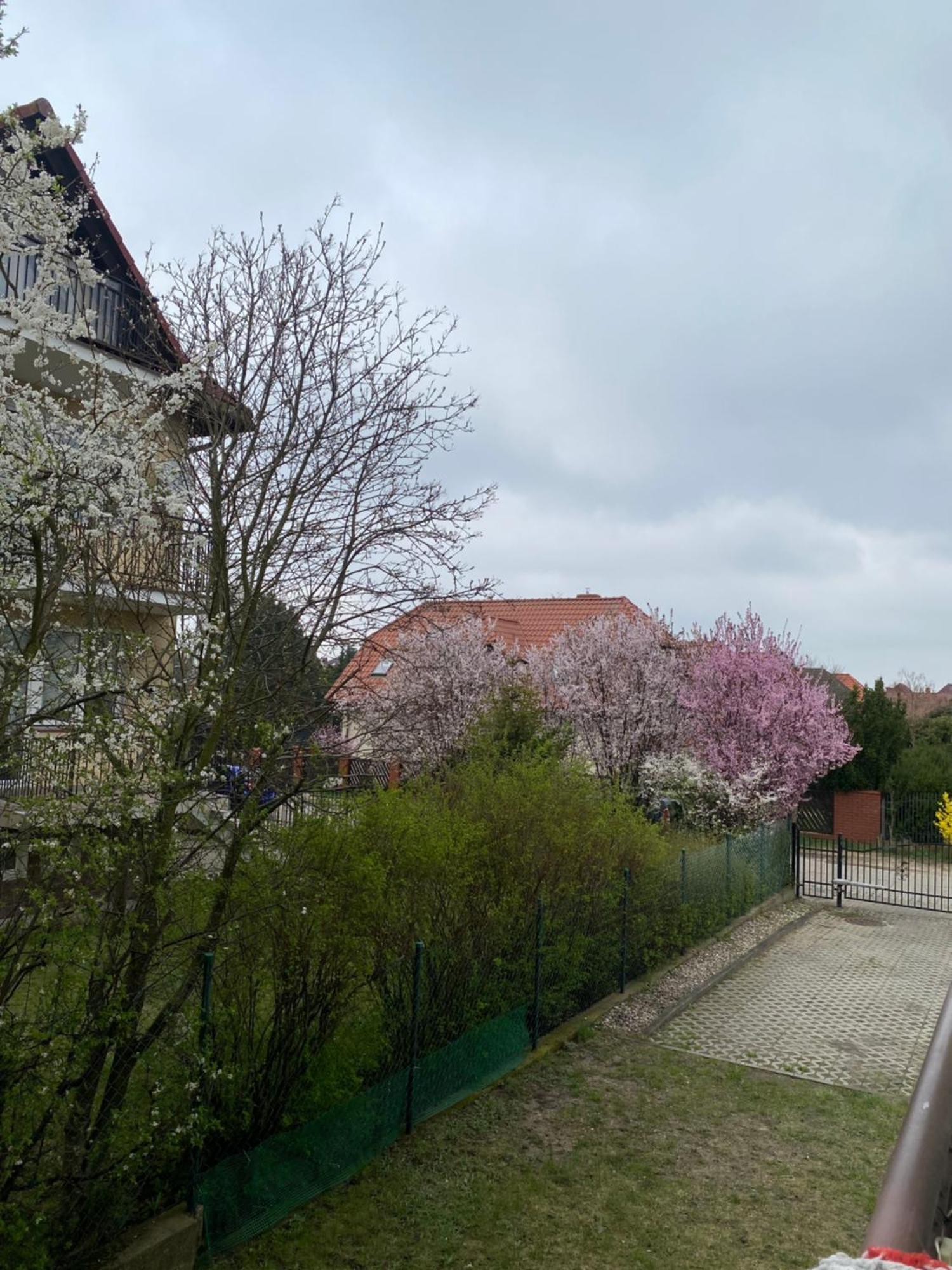 Duzy 51m2! 10 Minut Od Lotniska! *