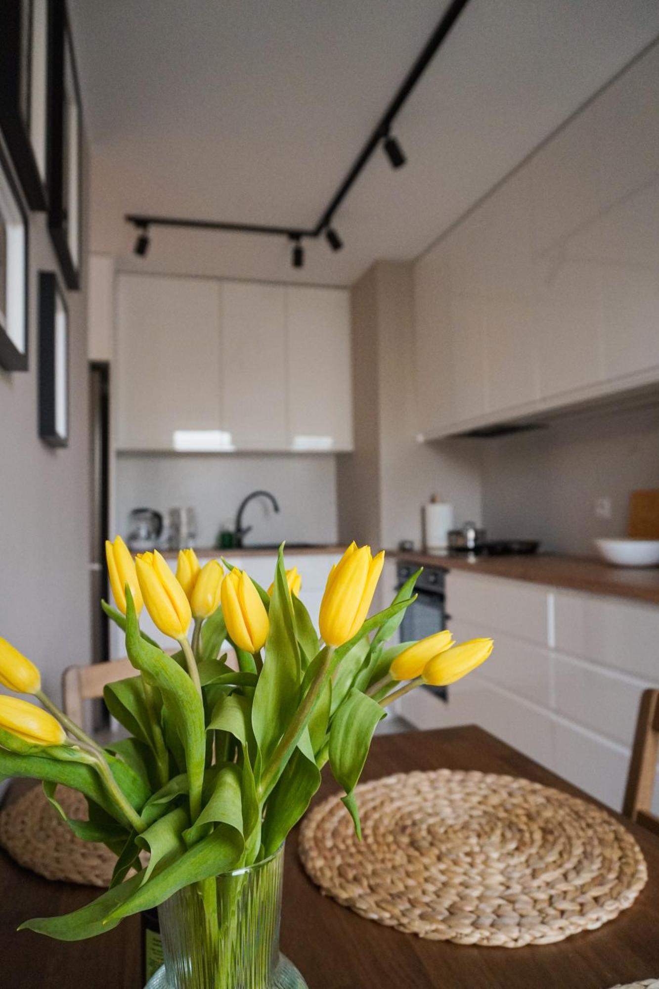 Struga Modern - Blisko Centrum Apartment