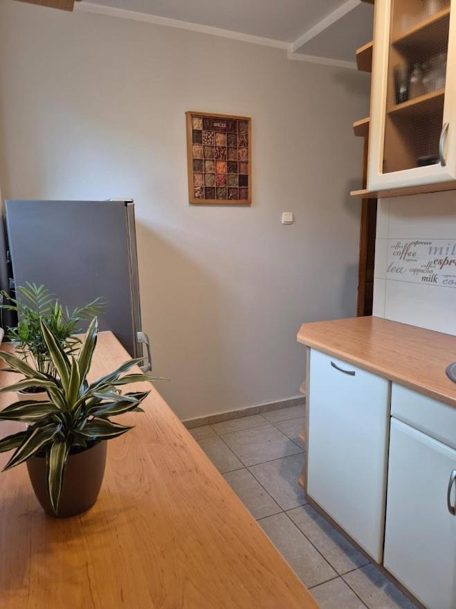 Spacerem Nad Morze Gdańsk