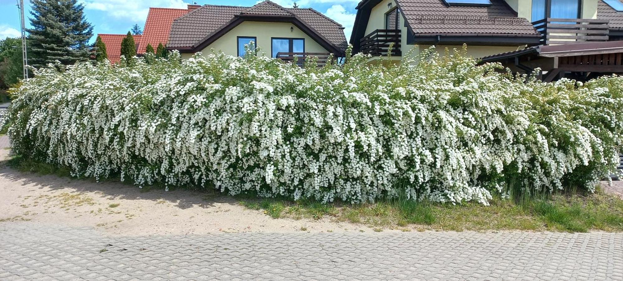 Căn hộ Sloneczny Gdansk