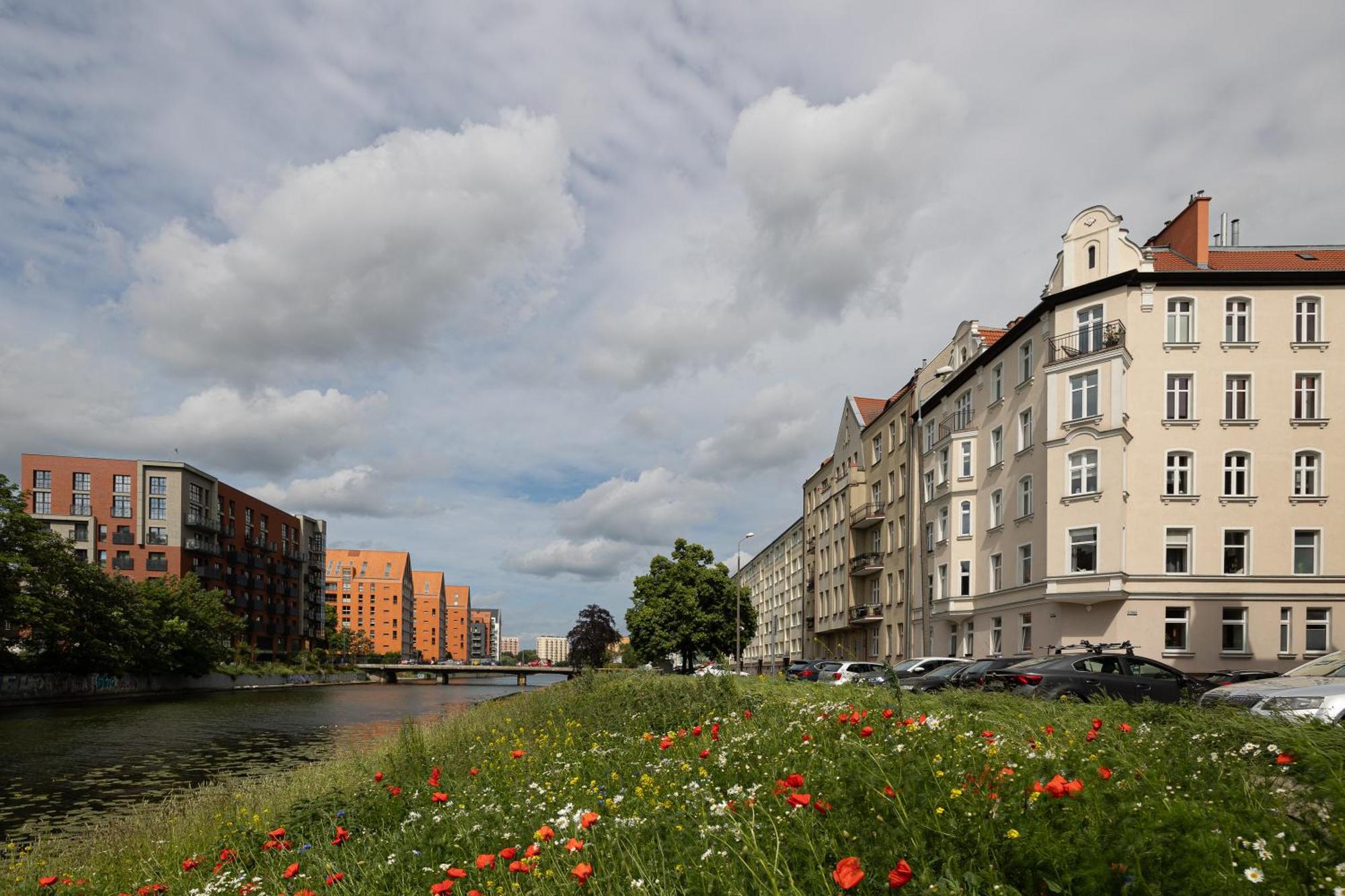 Spacious In Centre - 2homerent Zielona