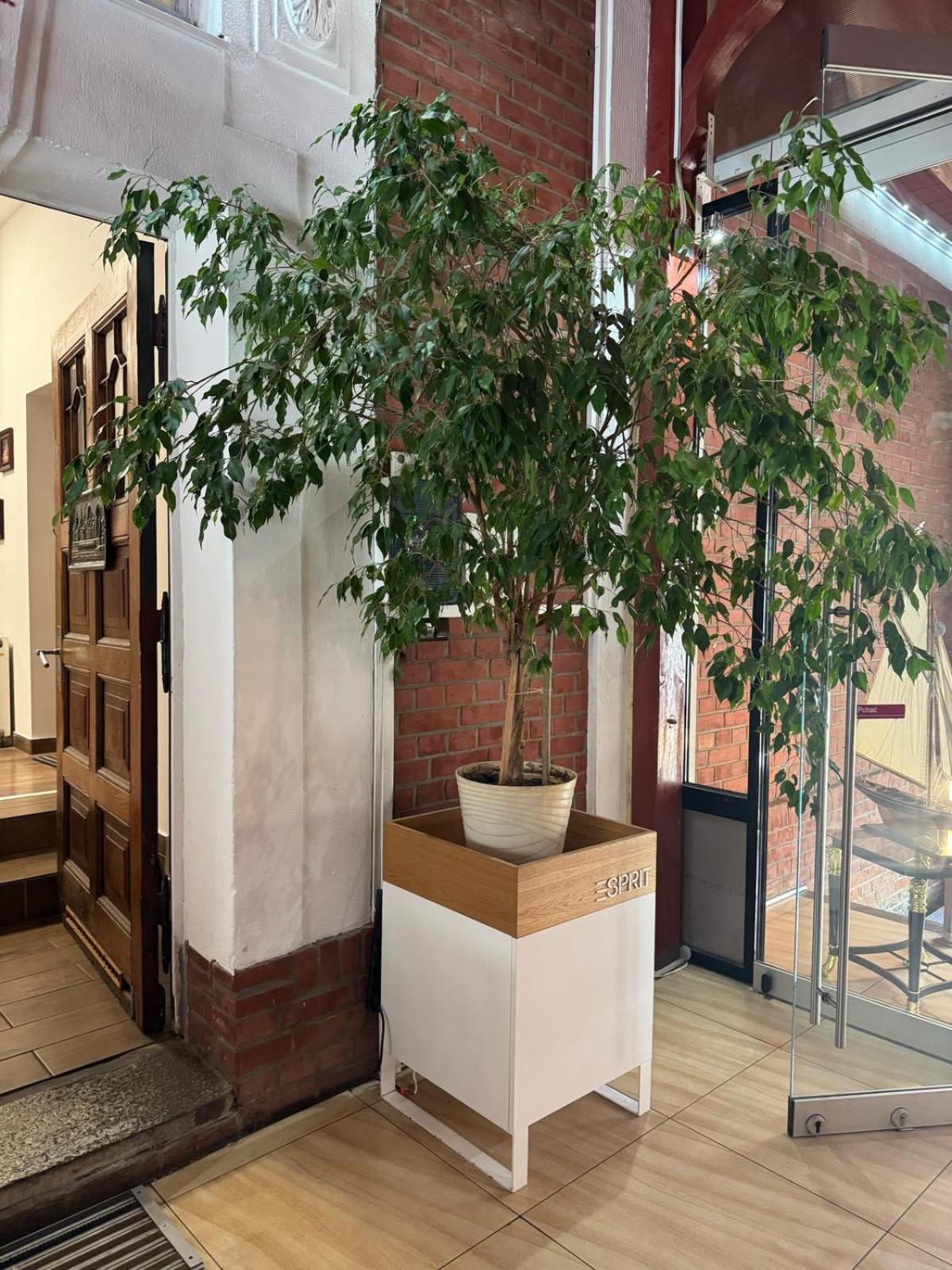 Balticus House Hotel Gdansk