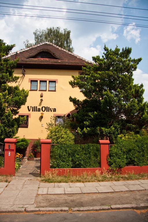 Oliva *