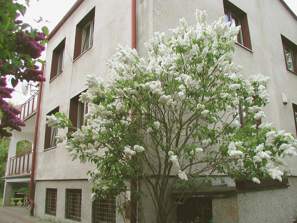 Sart Apartment Gdansk