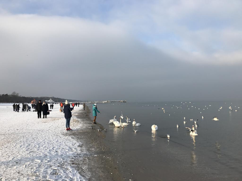 Seaside - Nadmorski Dwor * Gdańsk