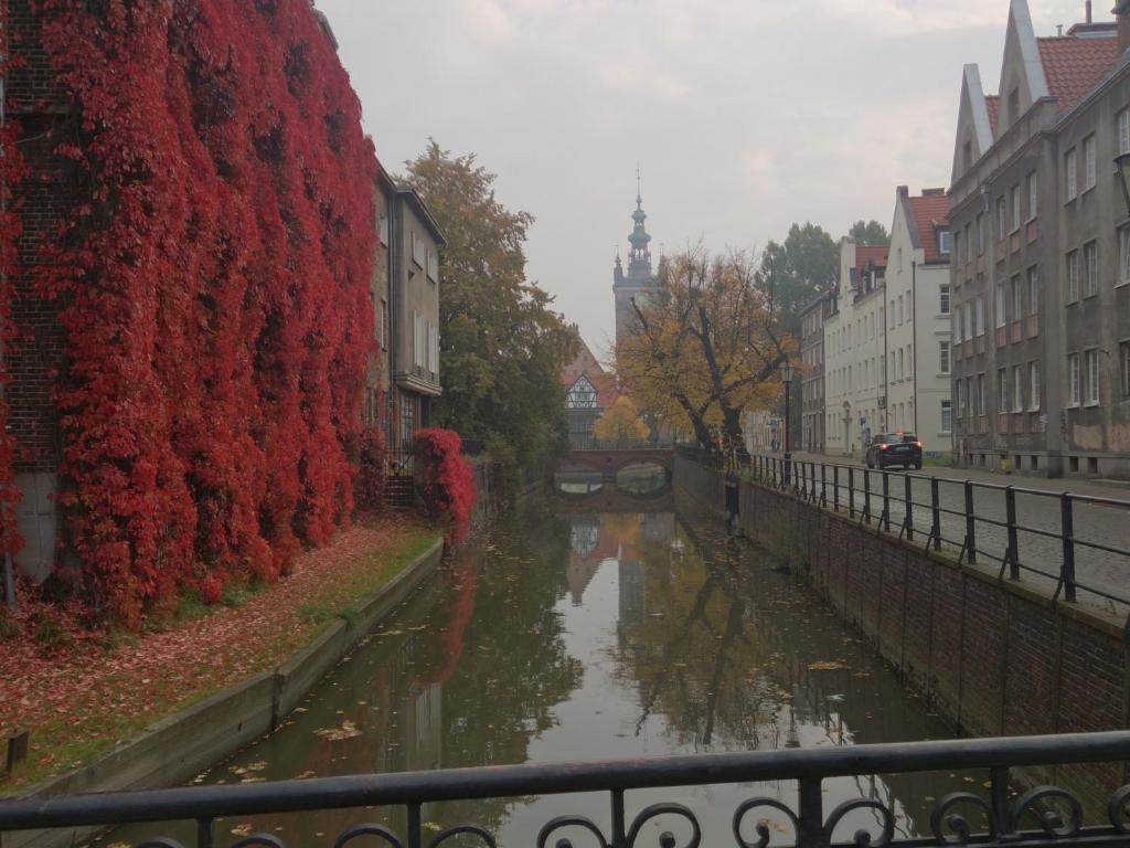 Amber * Gdansk