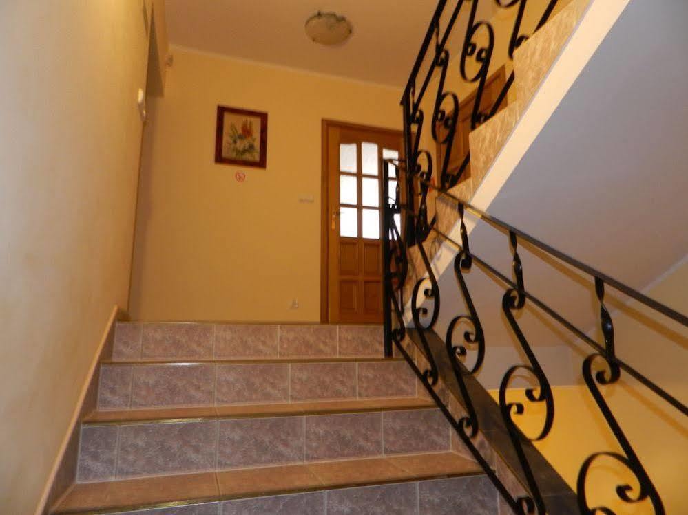 Guest house Alfa