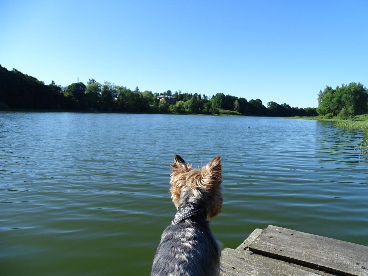 Wysockie Zacisze Domek letniskowy Gdańsk
