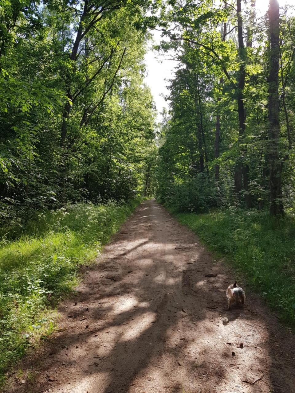 Wysockie Zacisze Domek letniskowy Gdańsk