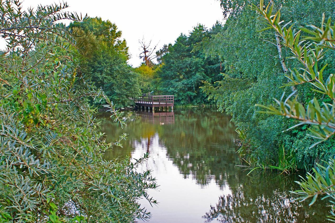 Leilighet Irs Royal Irs Nadmorski Dwor