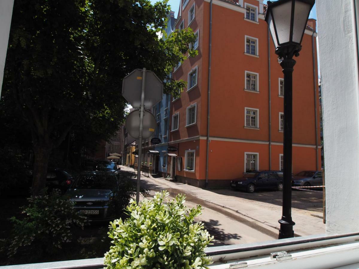Grand-tourist Amber Rose * Gdansk