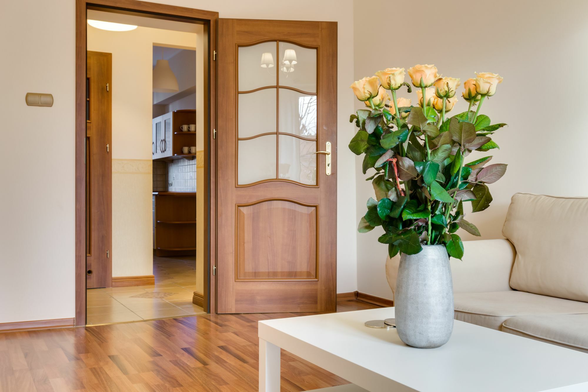 Apartment Elite Korzenna Center