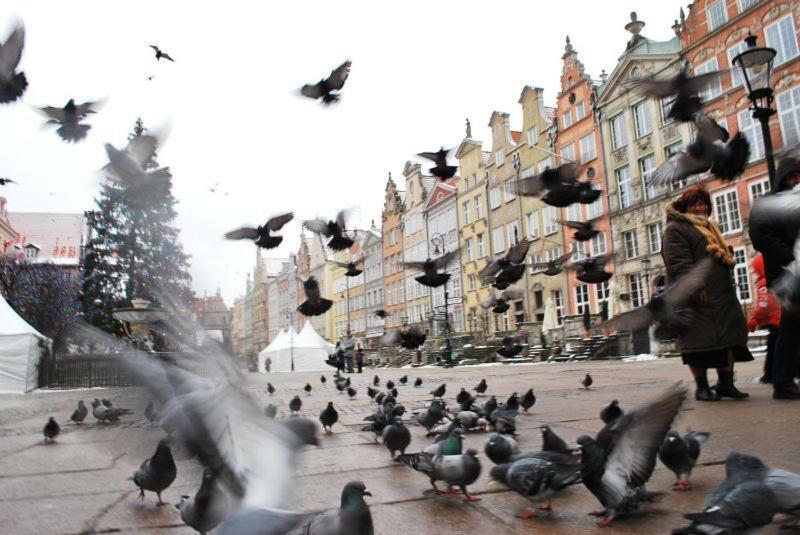 Apartament Sloneczne Poludnie * Gdansk