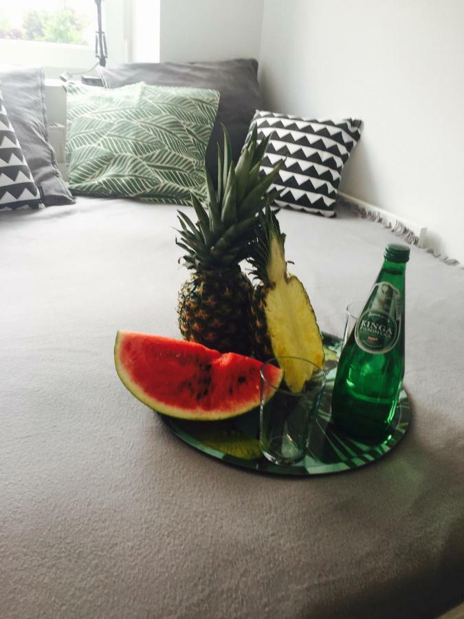 Apartament Kamienica Legionow *