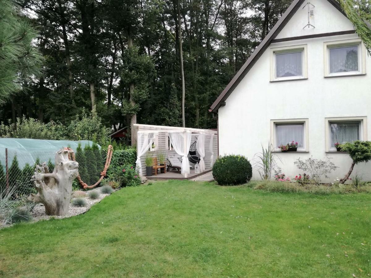 Pokoje, Na Wyspie Homestay Gdansk