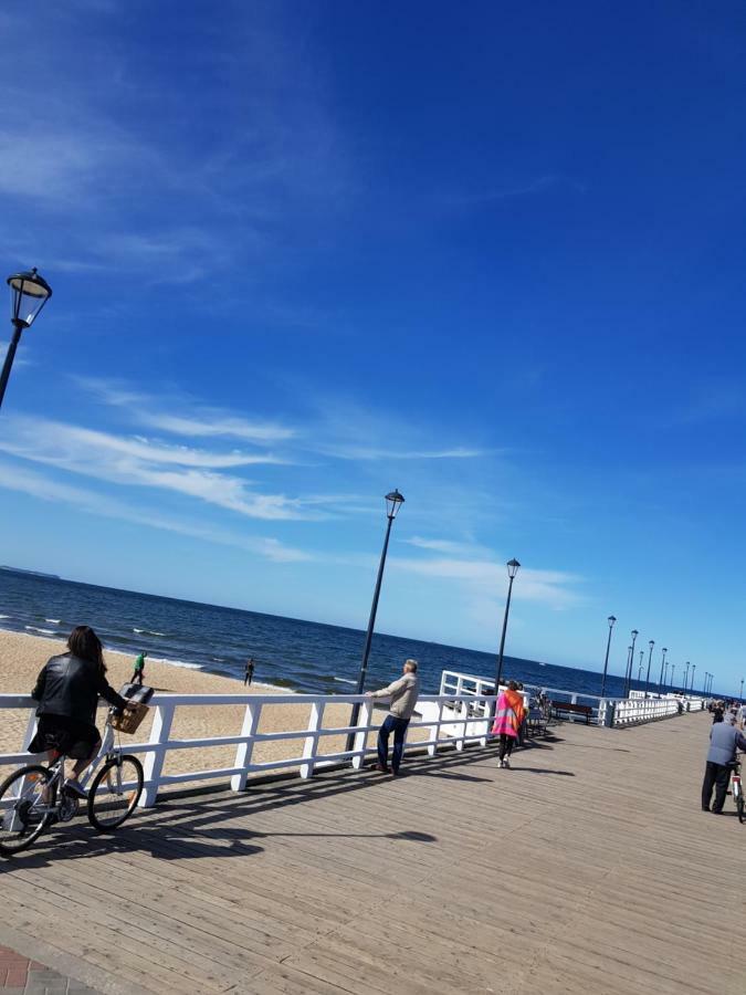Ceynowa Brzezno Gdańsk