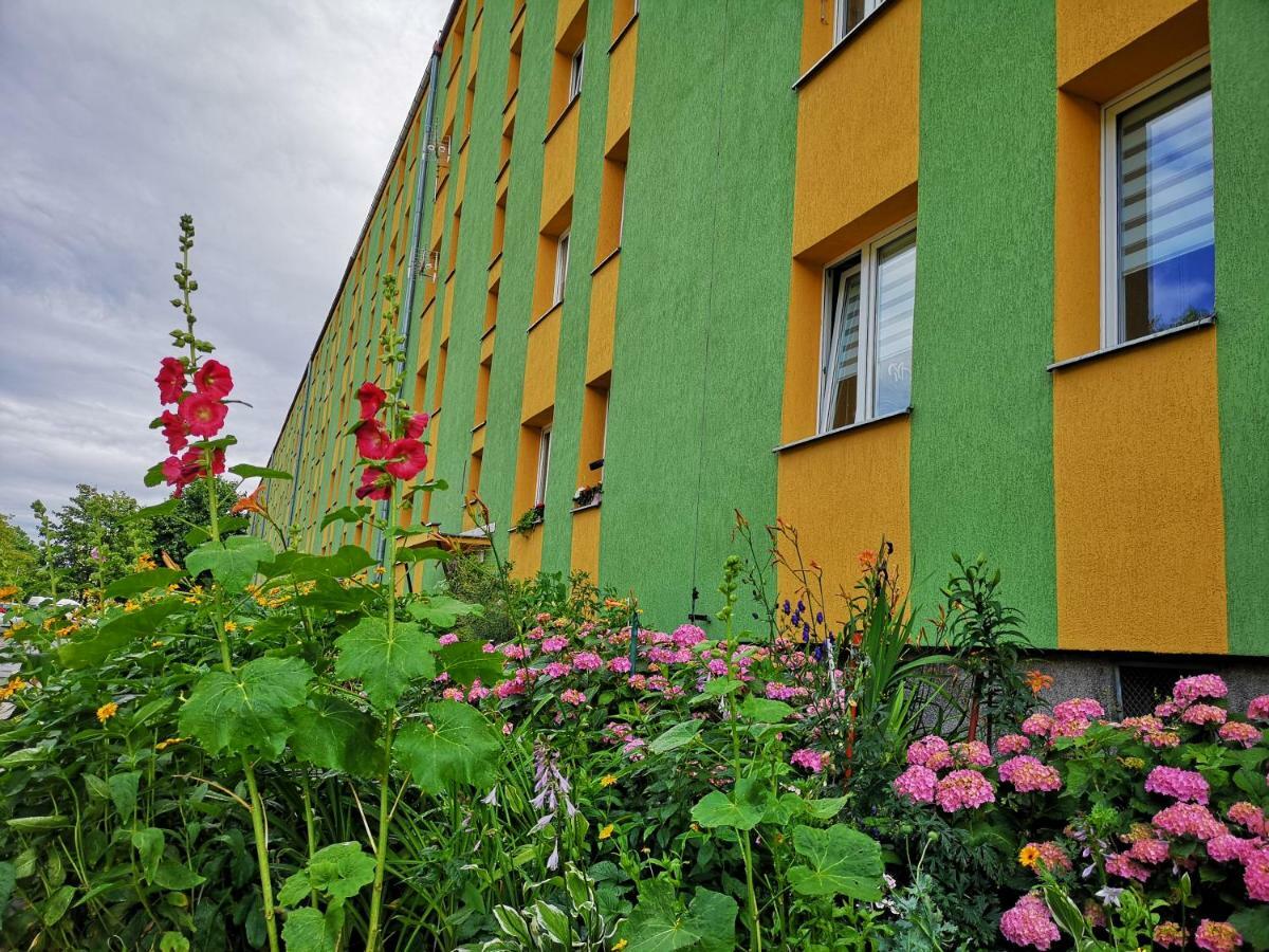 Apartament Anchor Przymorze Gdansk