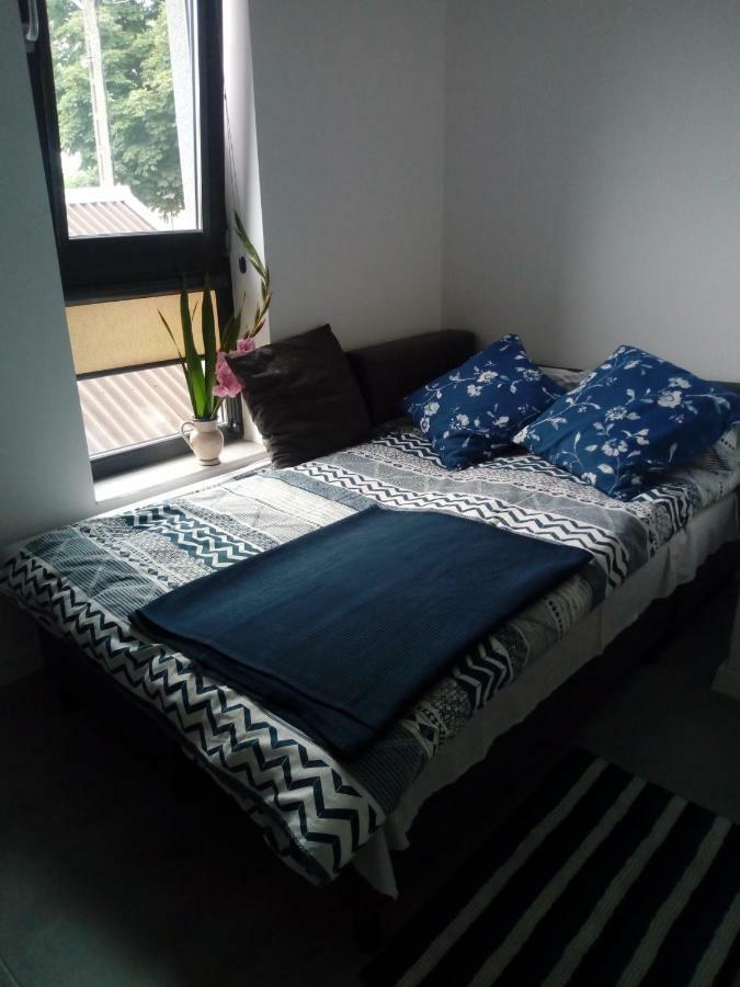 Homestay Centrum *
