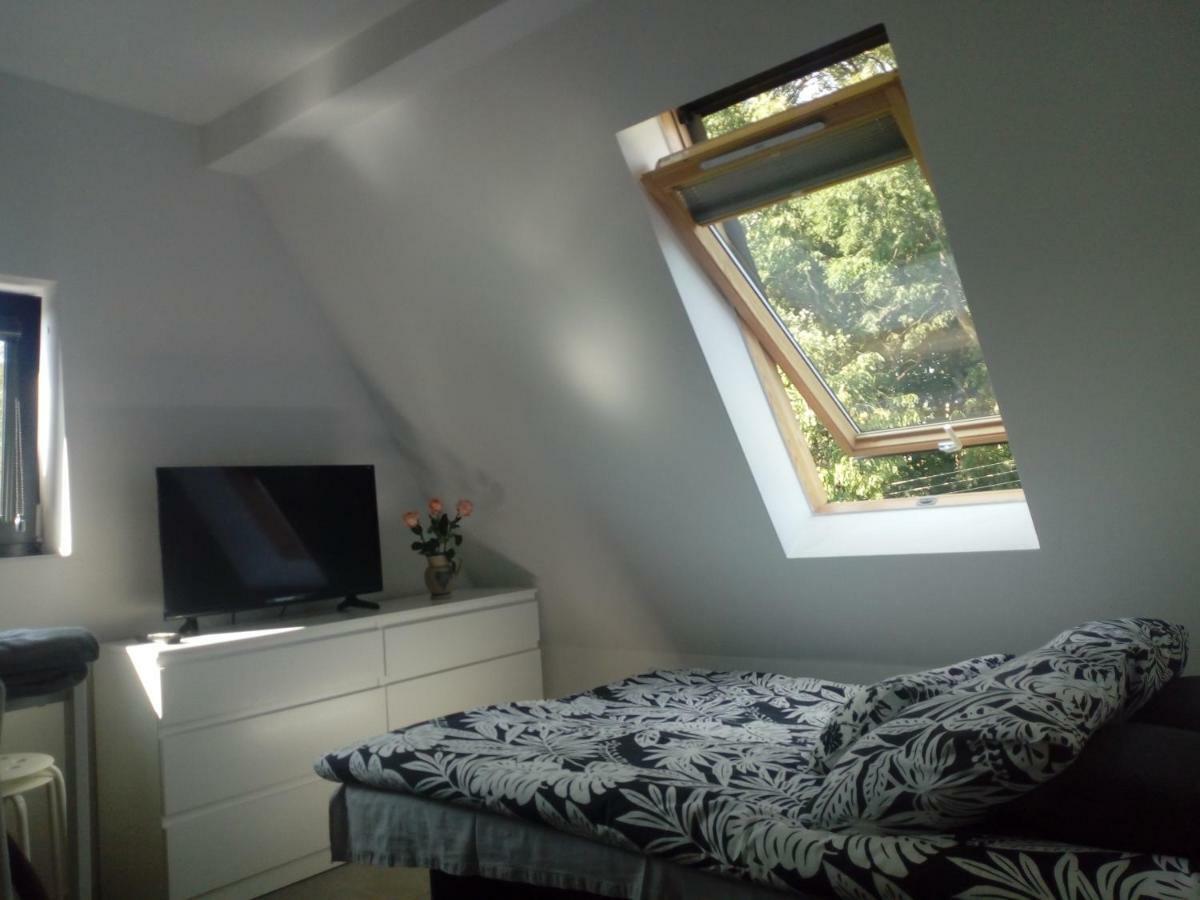 Homestay Centrum