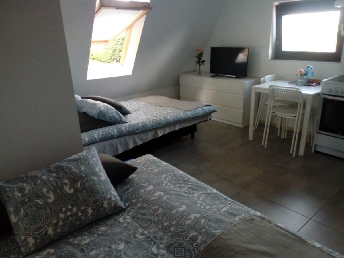 Homestay Centrum
