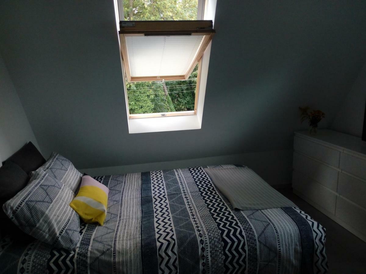 Homestay Centrum