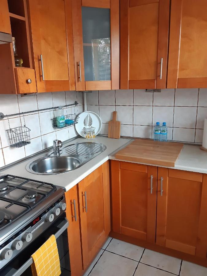 Apartament Pod Lasem Apartment