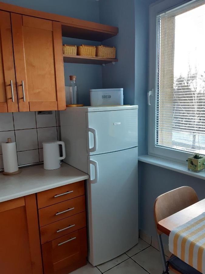Apartament Pod Lasem Apartment
